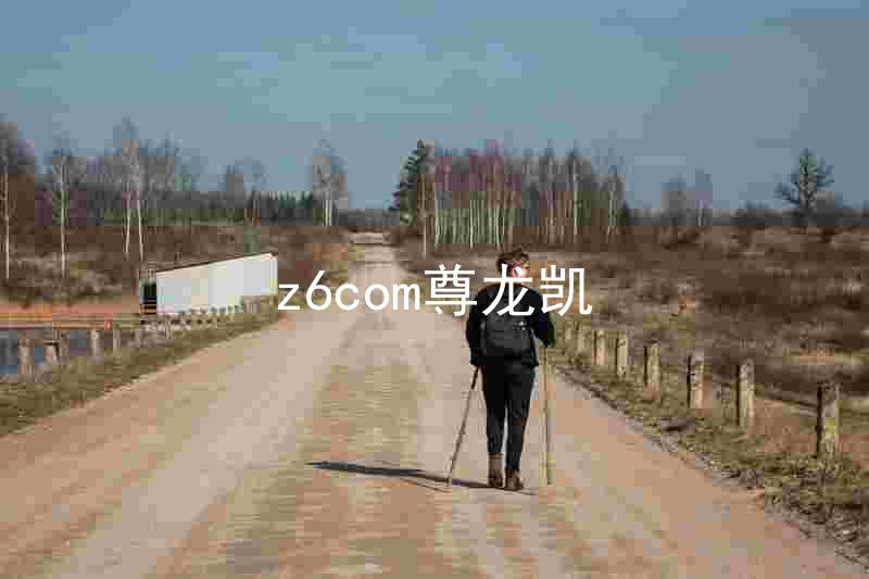 z6com尊龙凯