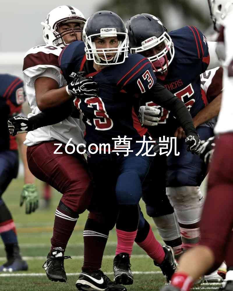 z6com尊龙凯