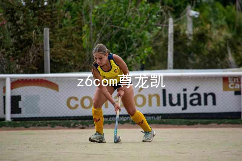z6com尊龙凯