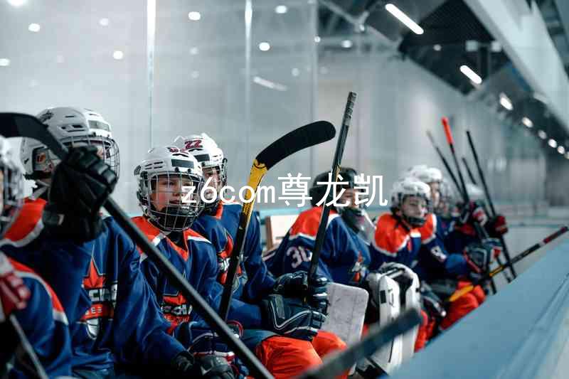 z6com尊龙凯
