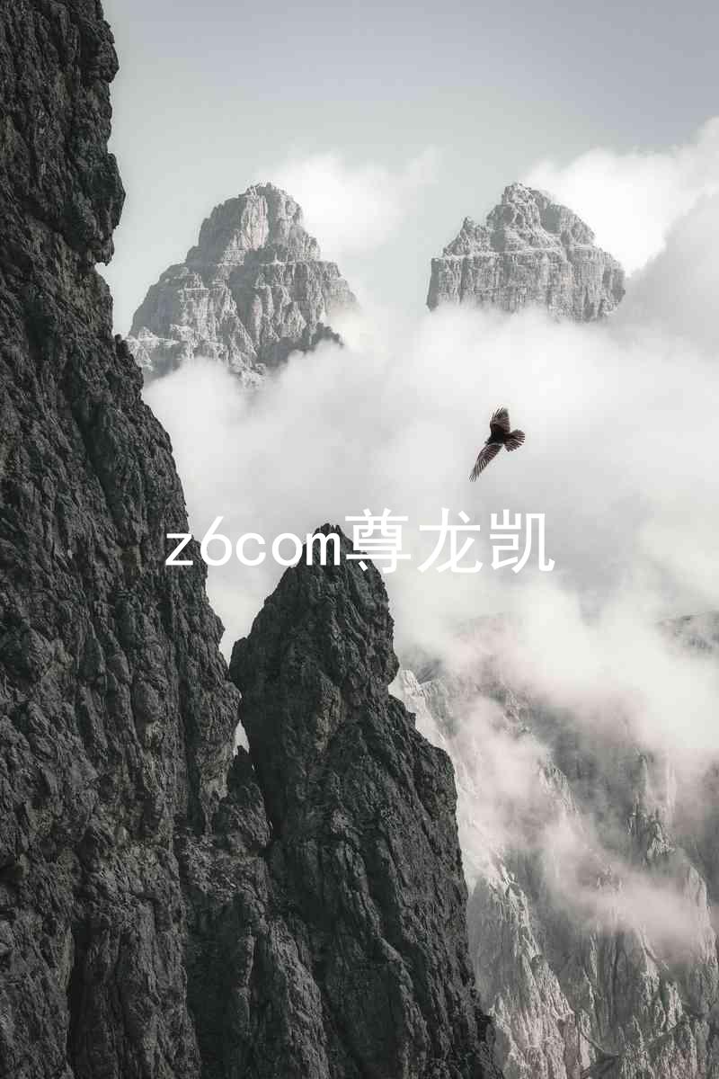 z6com尊龙凯