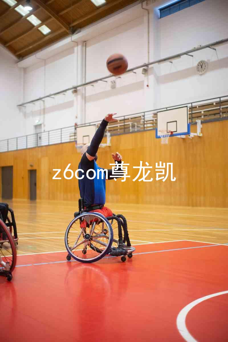 z6com尊龙凯