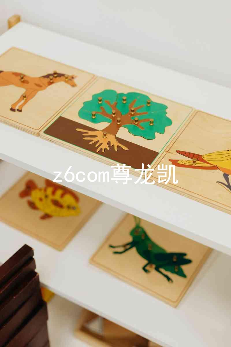 z6com尊龙凯